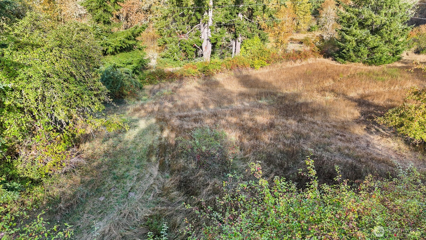 14440 Vantine Road Property Photo 10