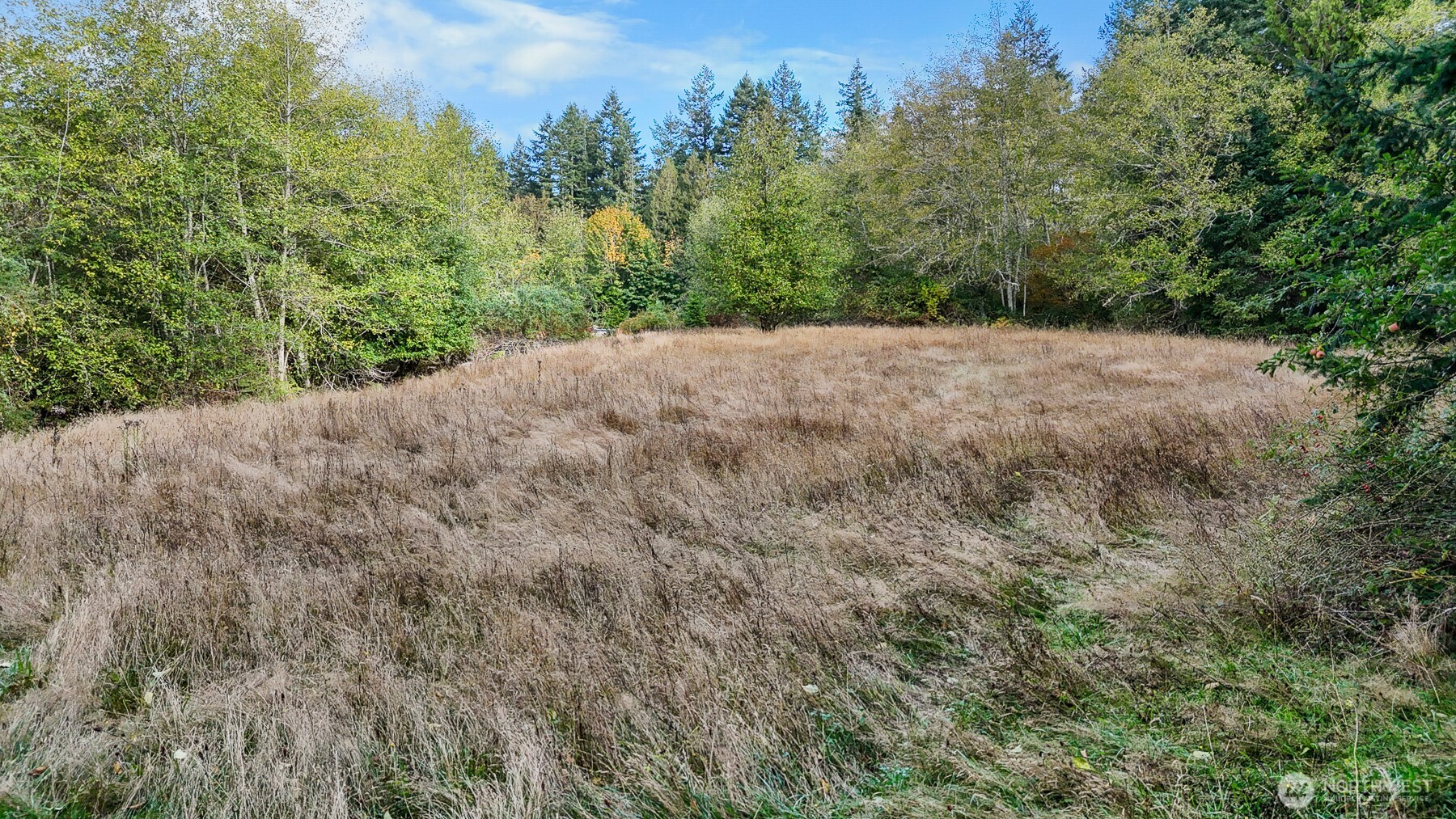 14440 Vantine Road Property Photo 11