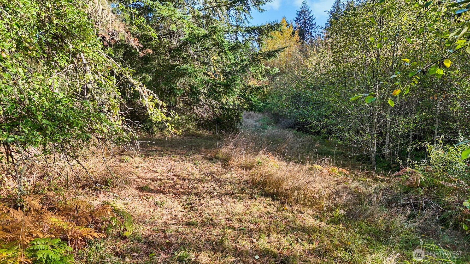14440 Vantine Road Property Photo 12