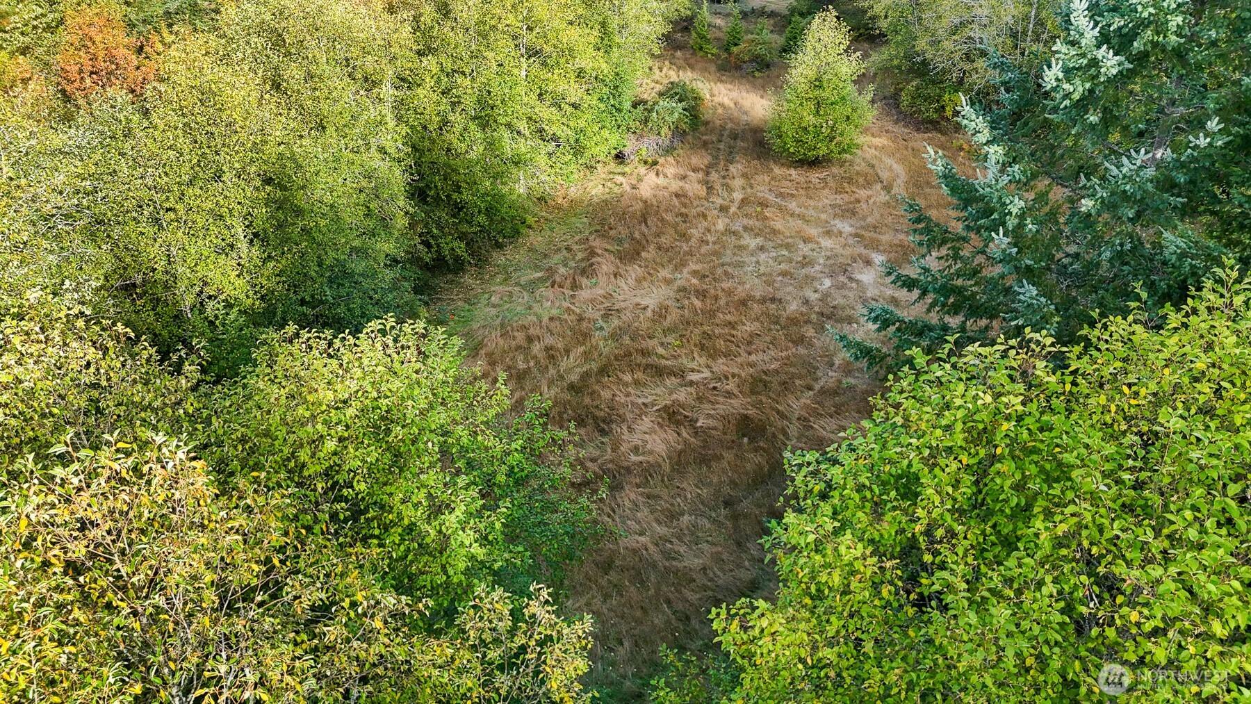 14440 Vantine Road Property Photo 13