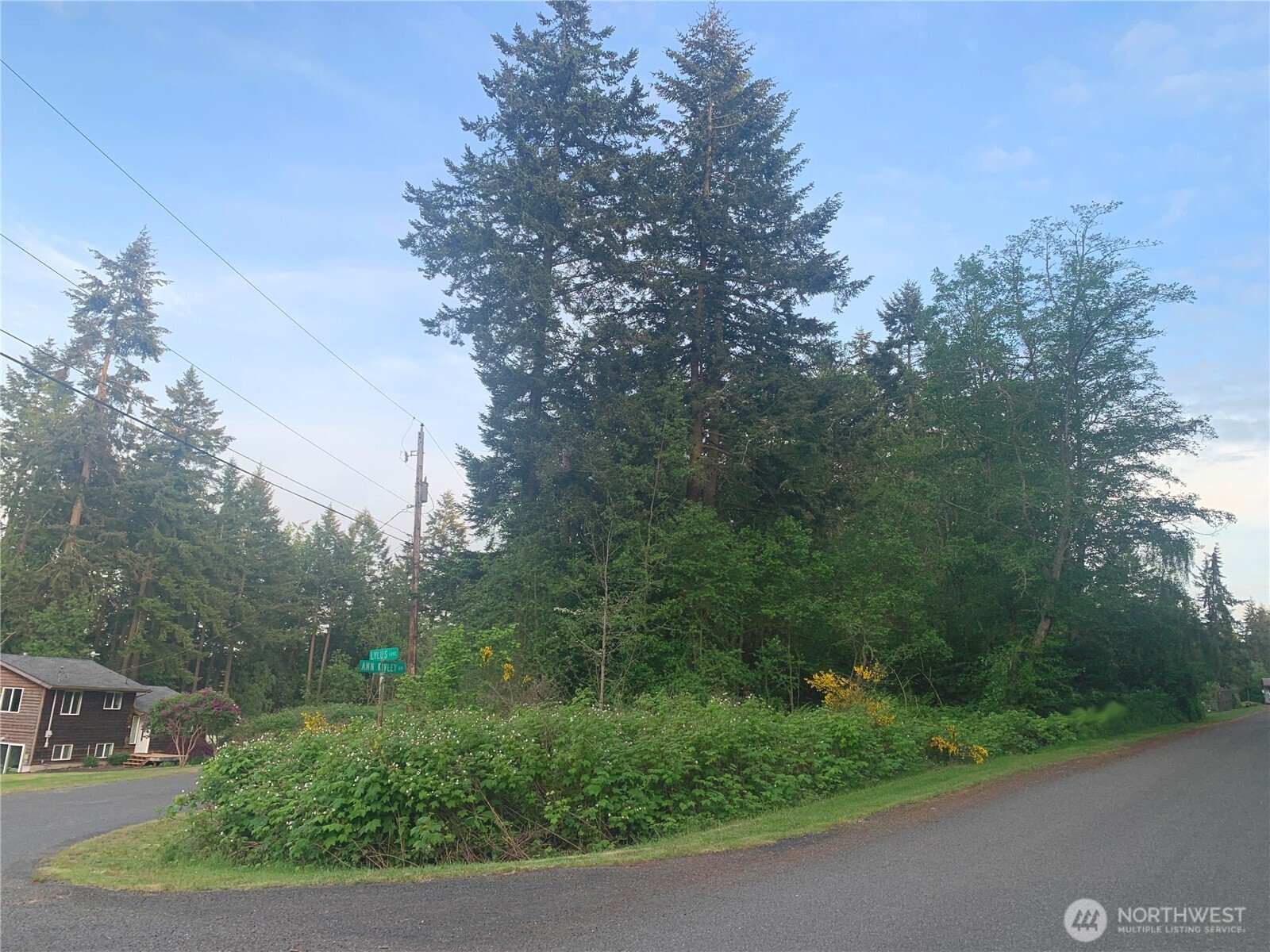 0 Lylus Lane Property Photo 3