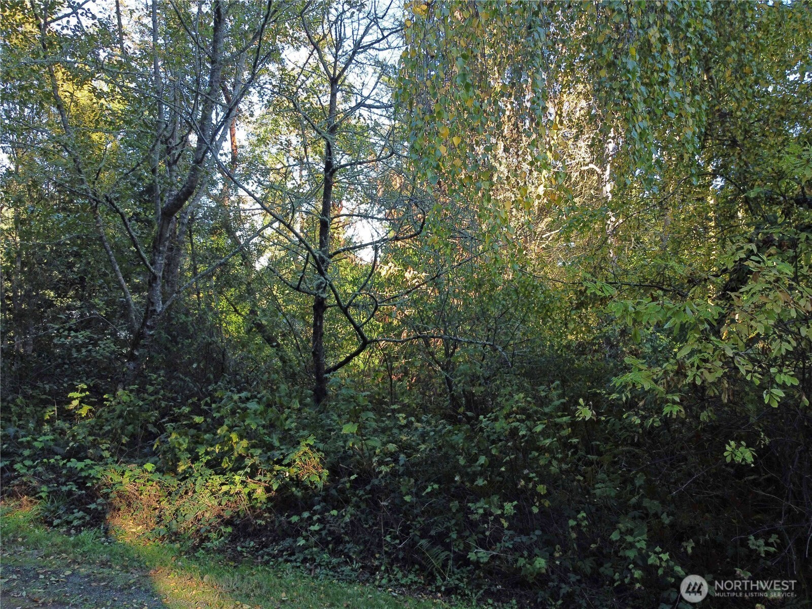 0 Lylus Lane Property Photo 11