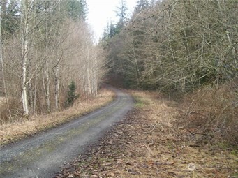 29417 Old State Route 9 Property Photo 1