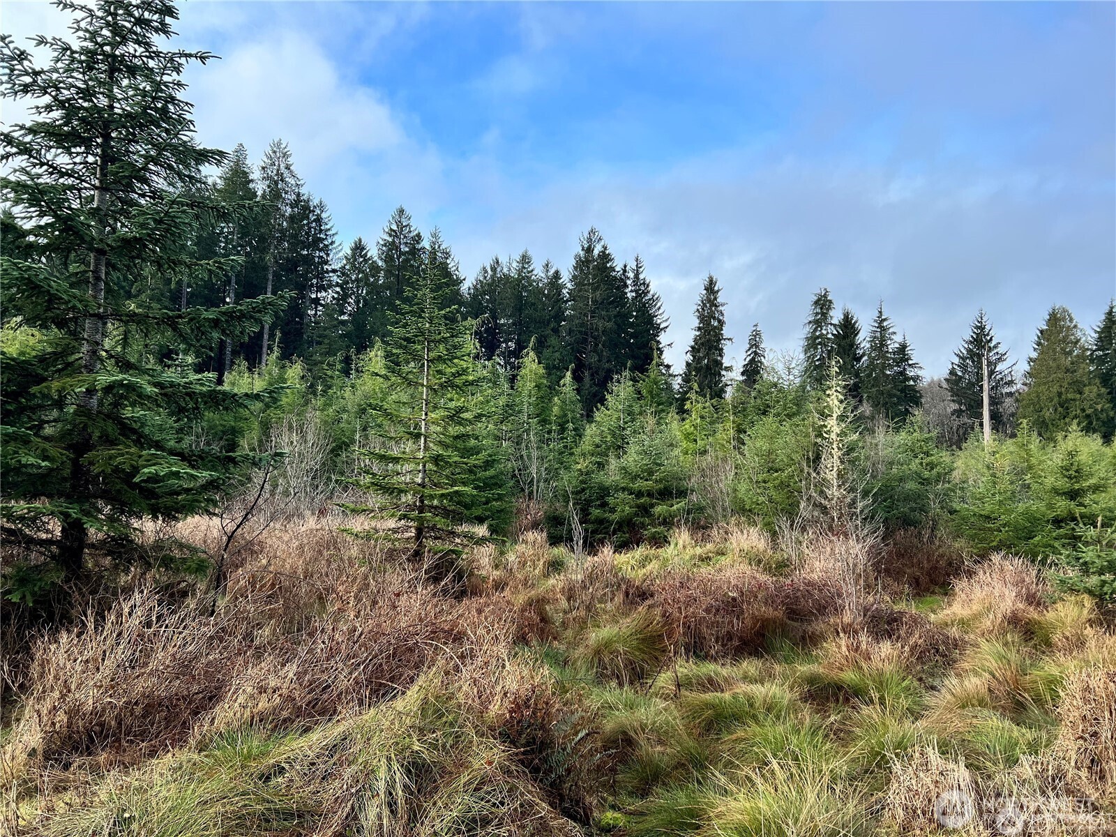 0 Hwy 101 Property Photo 5