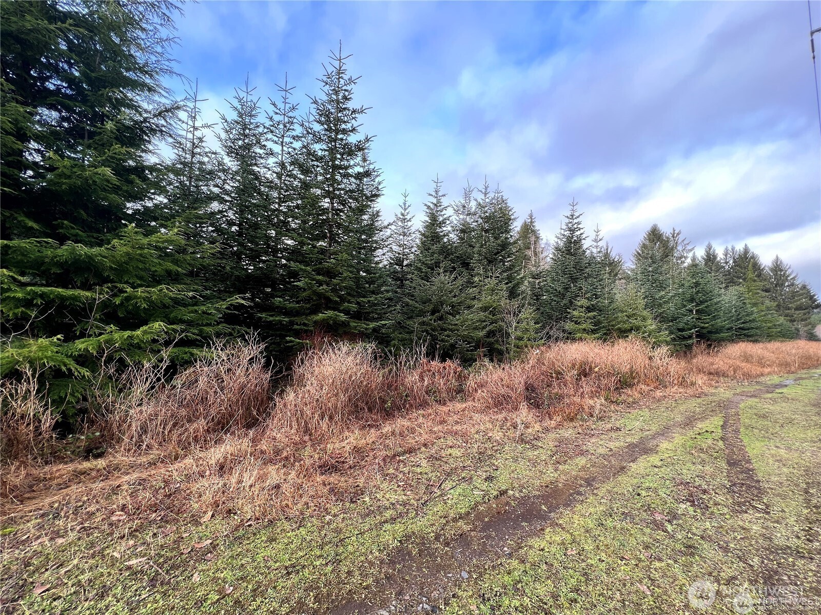 0 Hwy 101 Property Photo 6