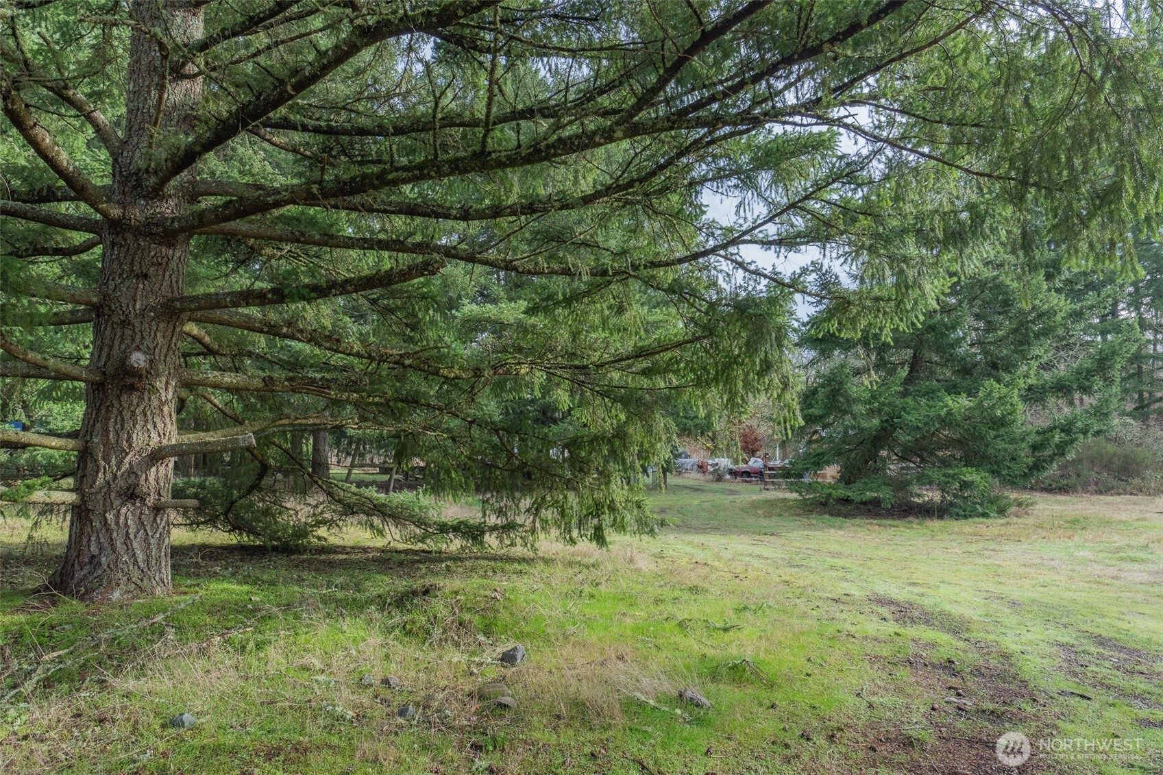 11025 Vancil Road Property Photo 23