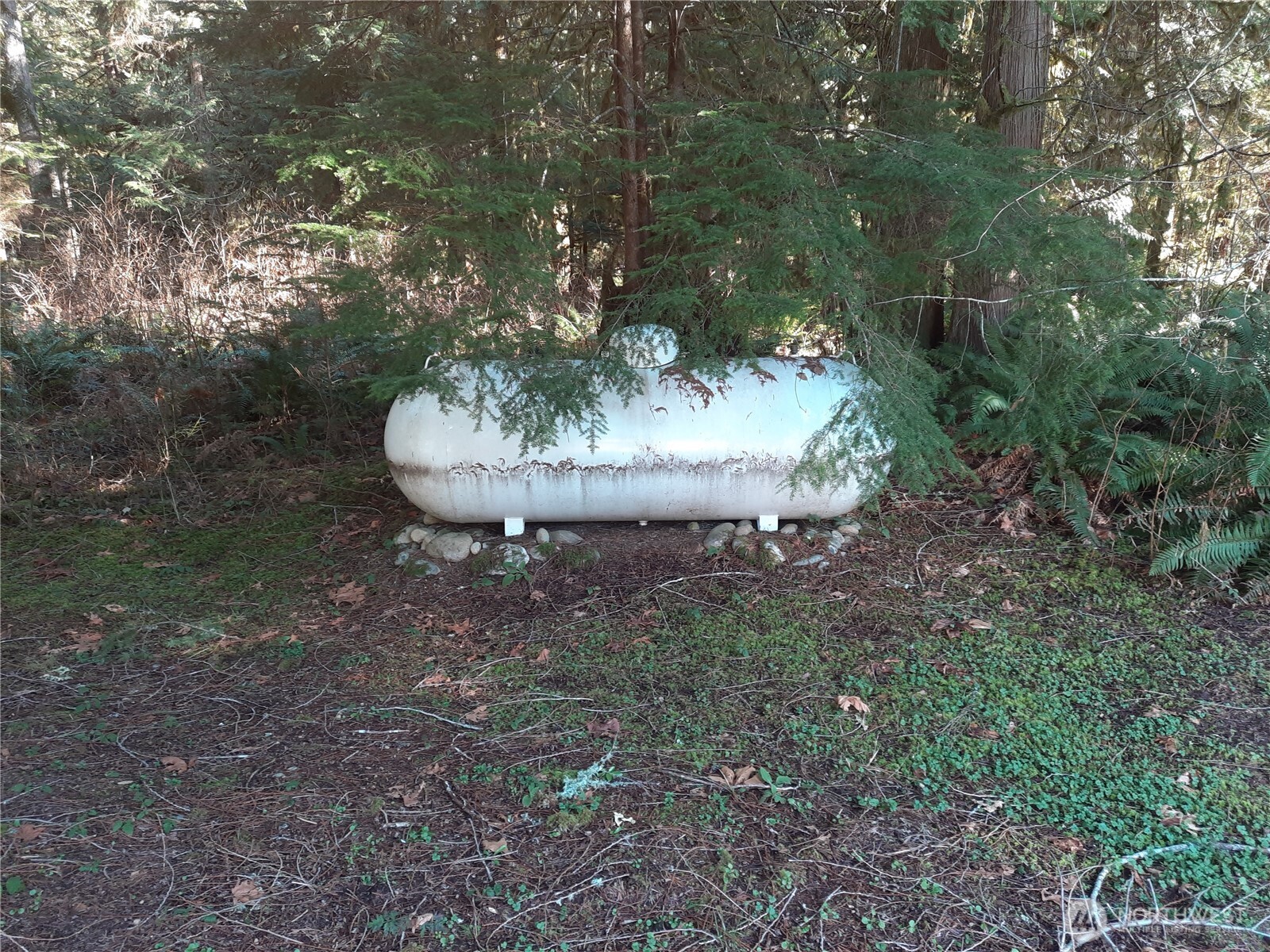 9306 Dandy Place Property Photo 28
