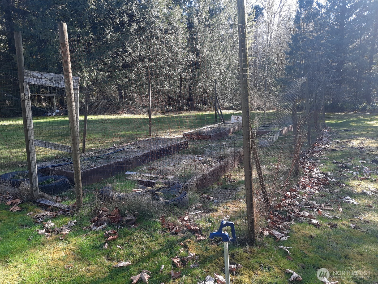 9306 Dandy Place Property Photo 30