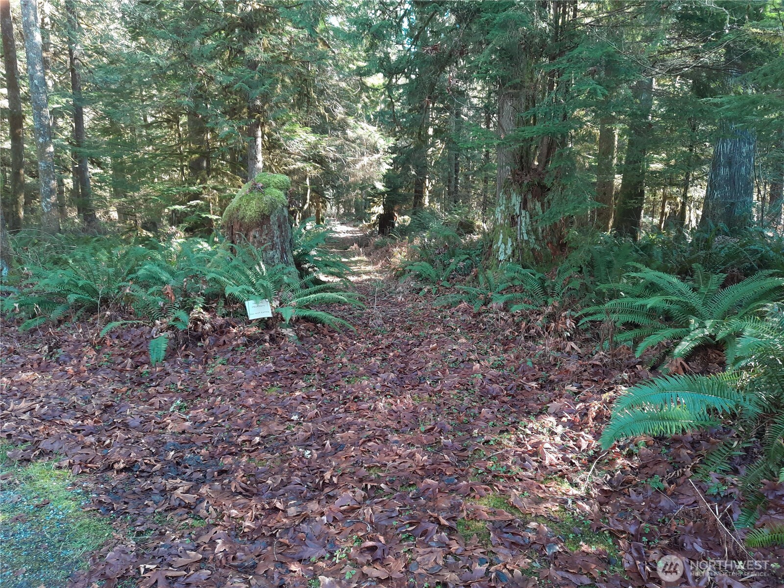 9306 Dandy Place Property Photo 38