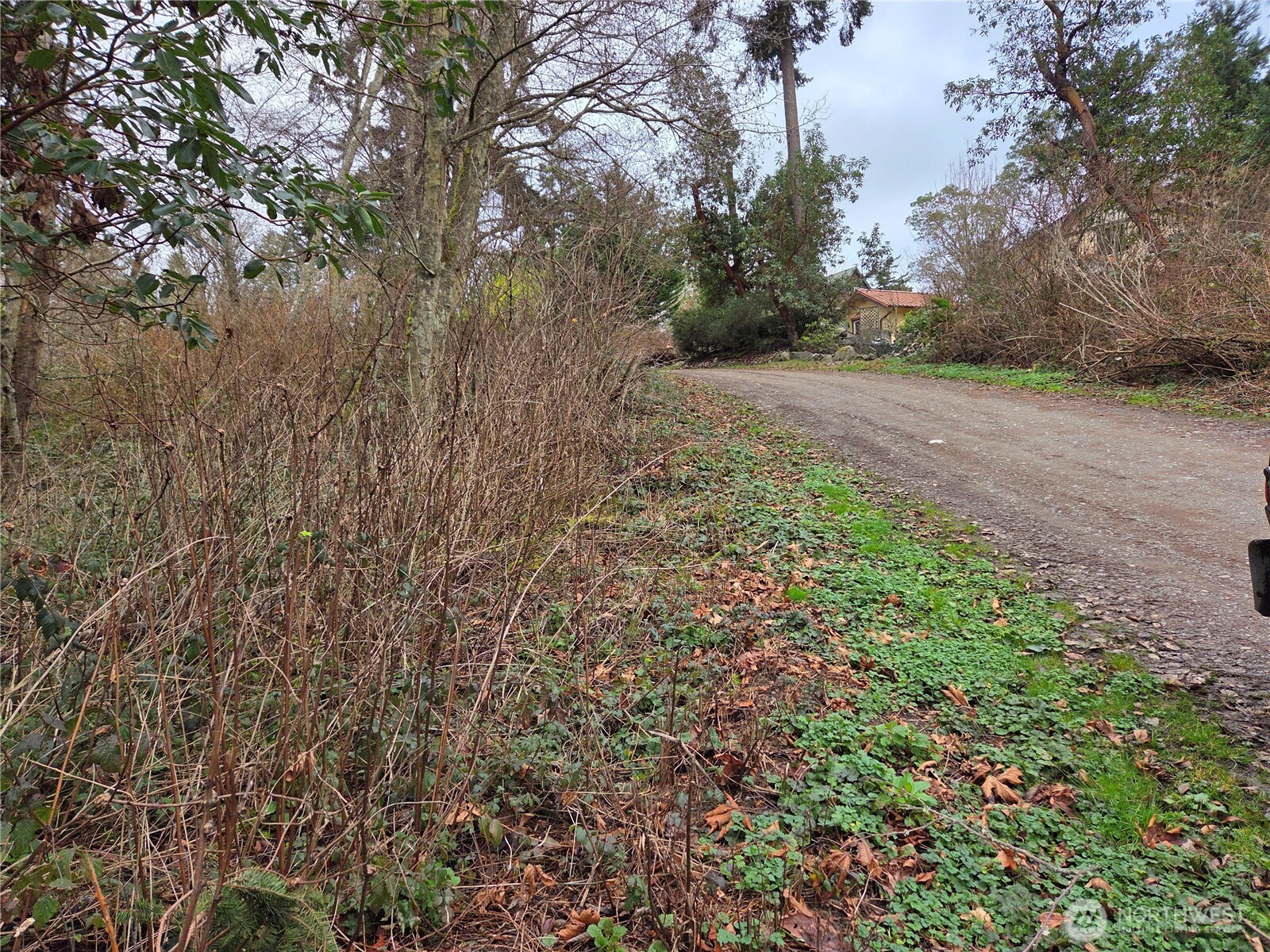 103 B Whidbey Island Drive Property Photo 2