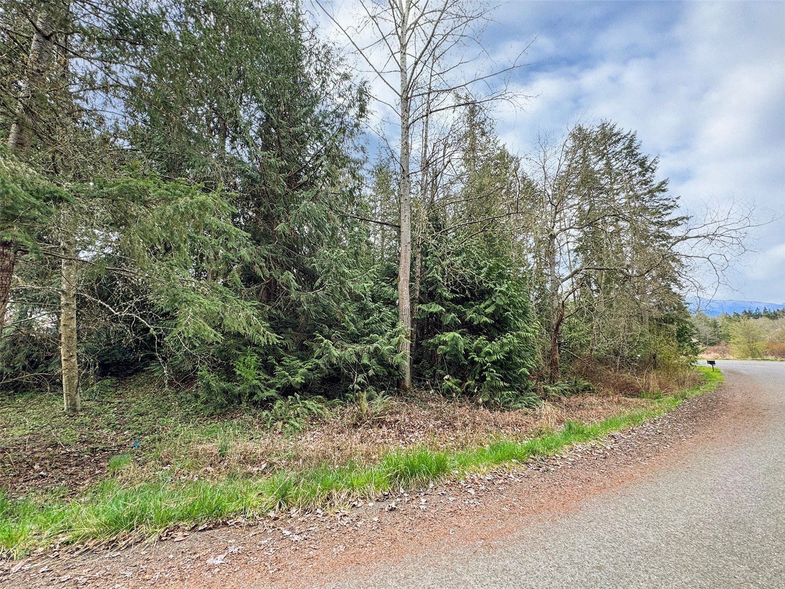 9999 Cedar Glen Lane Property Photo 17