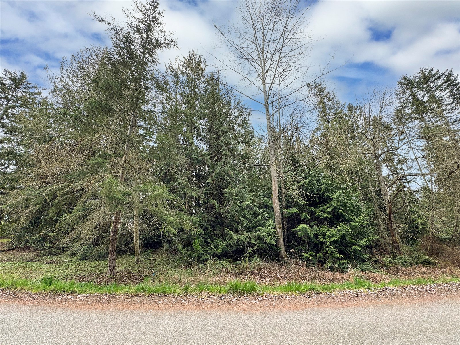9999 Cedar Glen Lane Property Photo 18