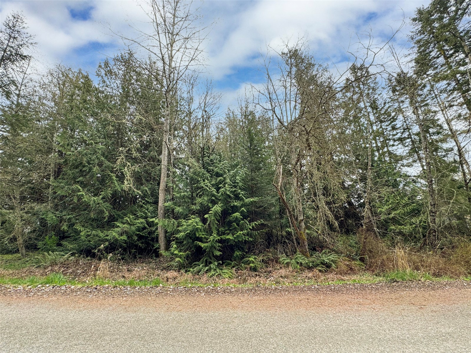 9999 Cedar Glen Lane Property Photo 19