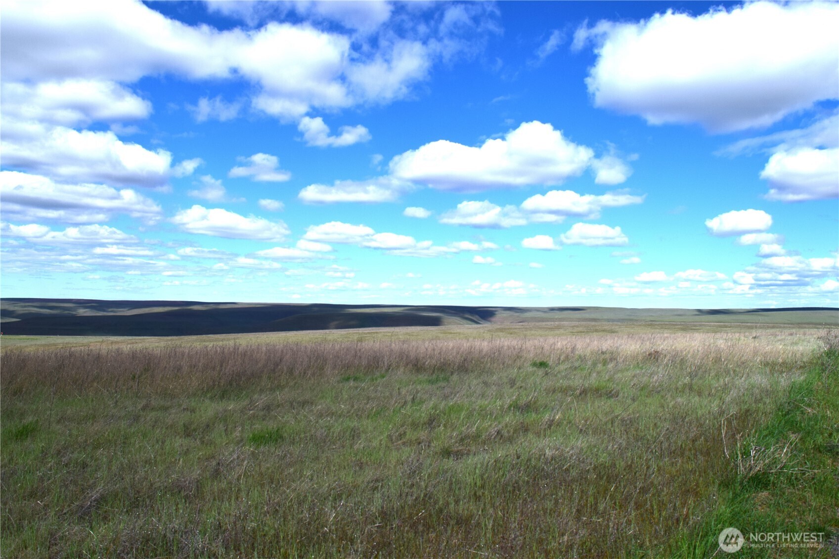 2367 Scott Station Road Property Photo 5