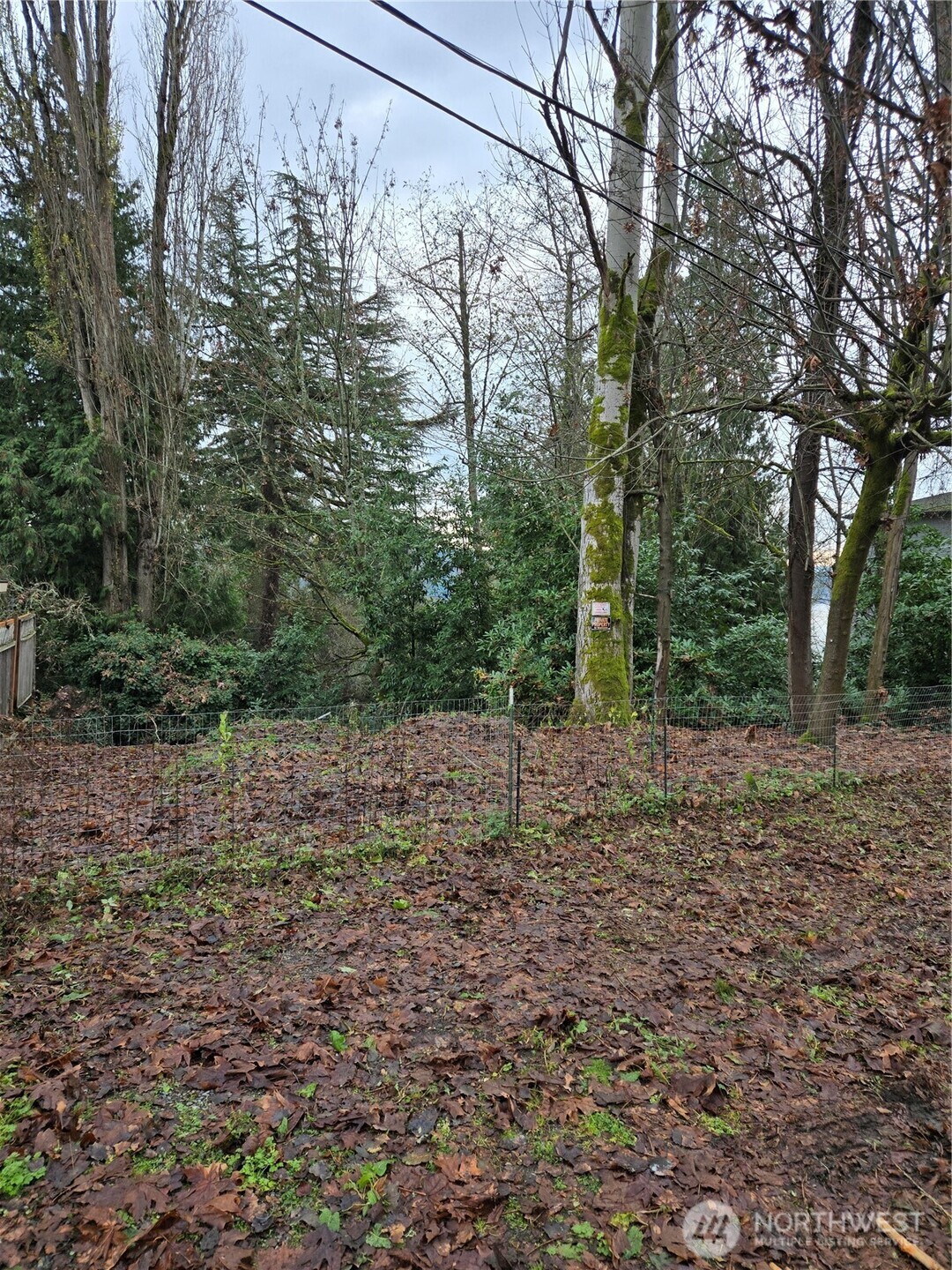 14014 41st Avenue Property Photo 1