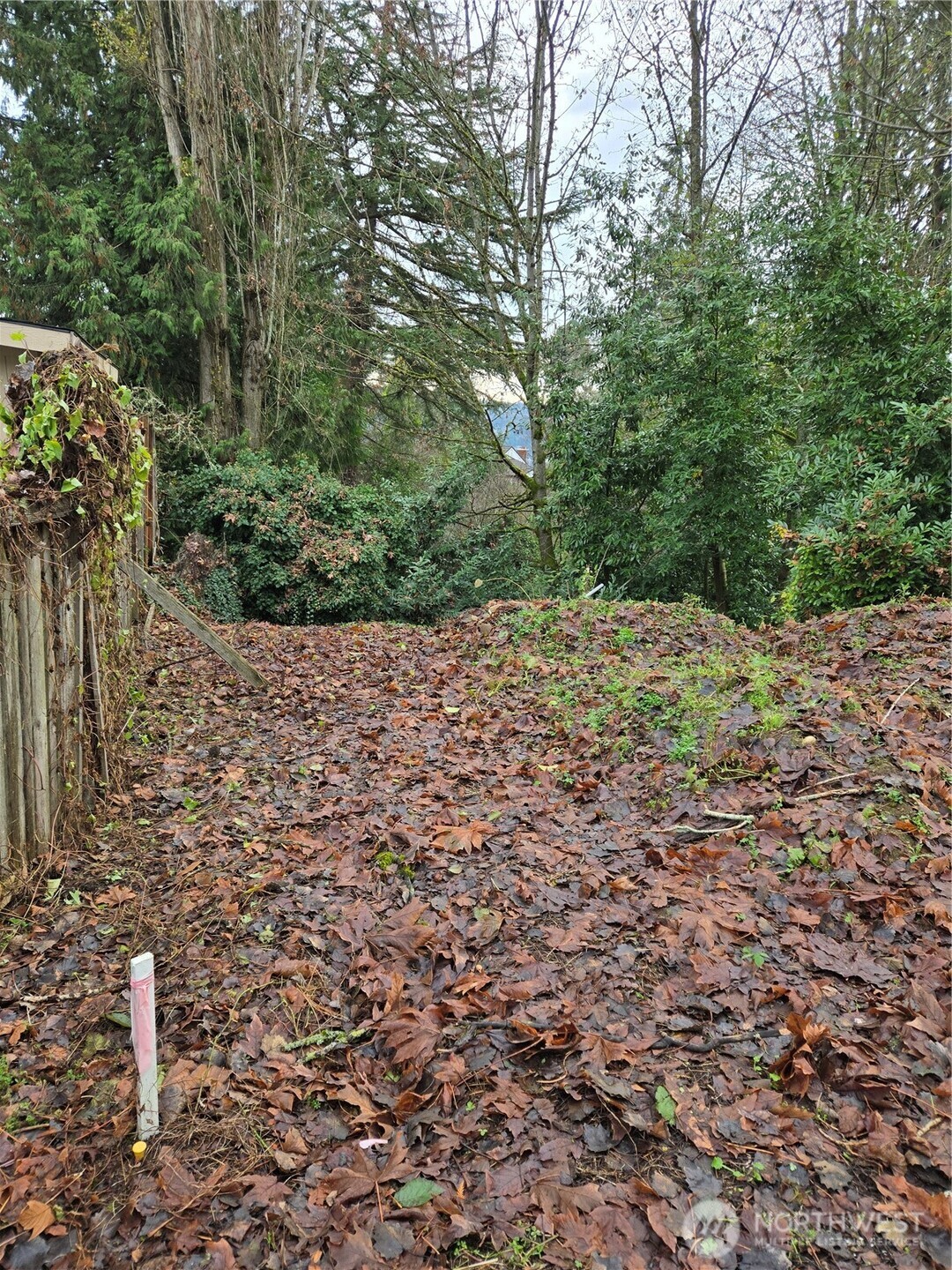 14014 41st Avenue Property Photo 2