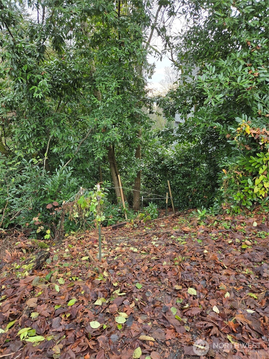 14014 41st Avenue Property Photo 3