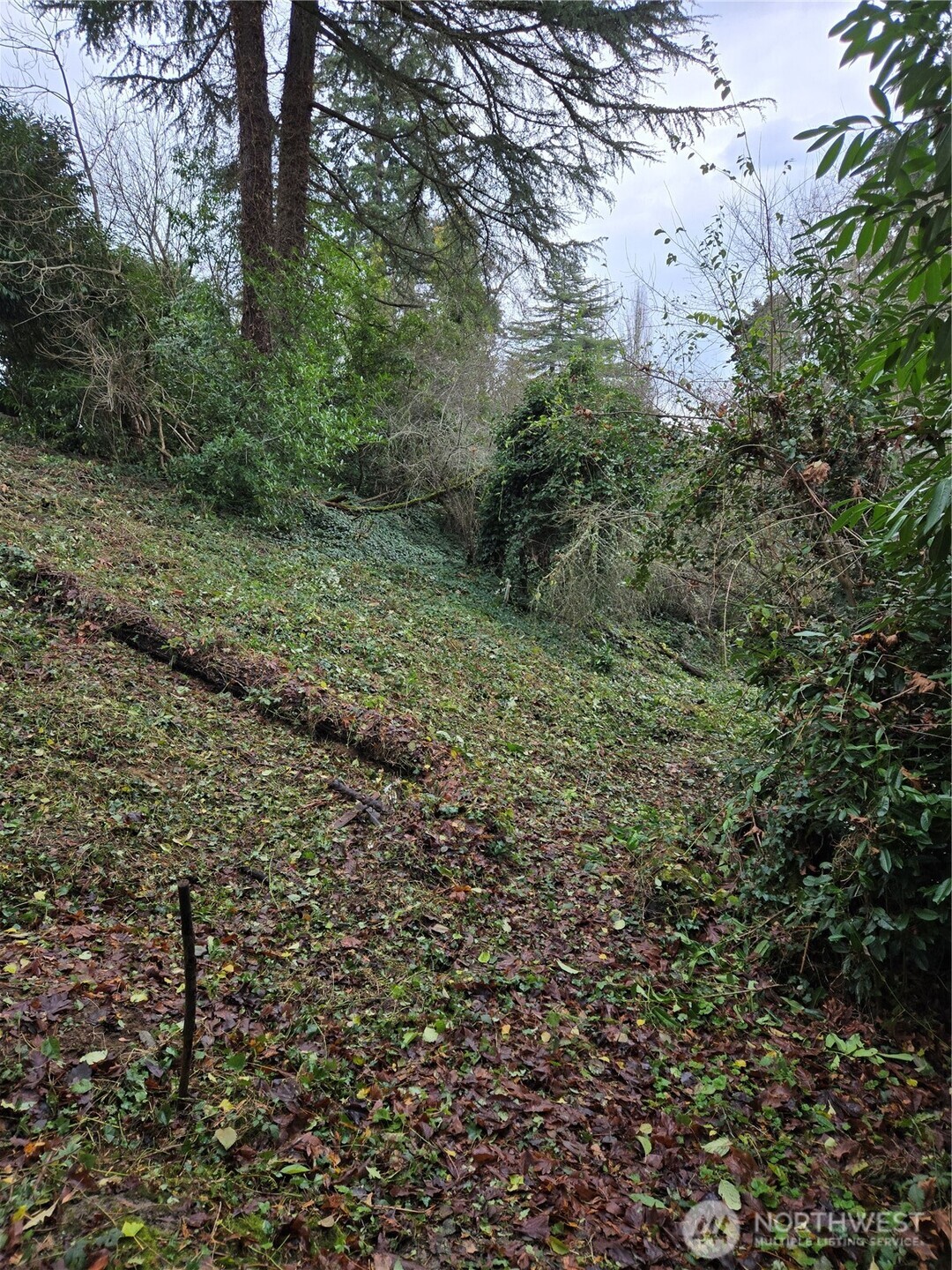 14014 41st Avenue Property Photo 5