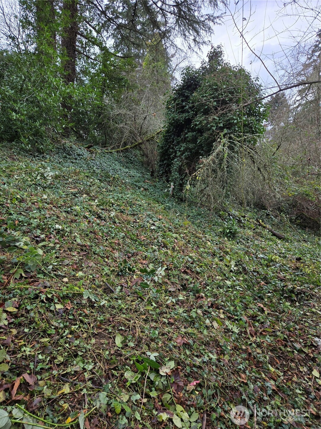 14014 41st Avenue Property Photo 6