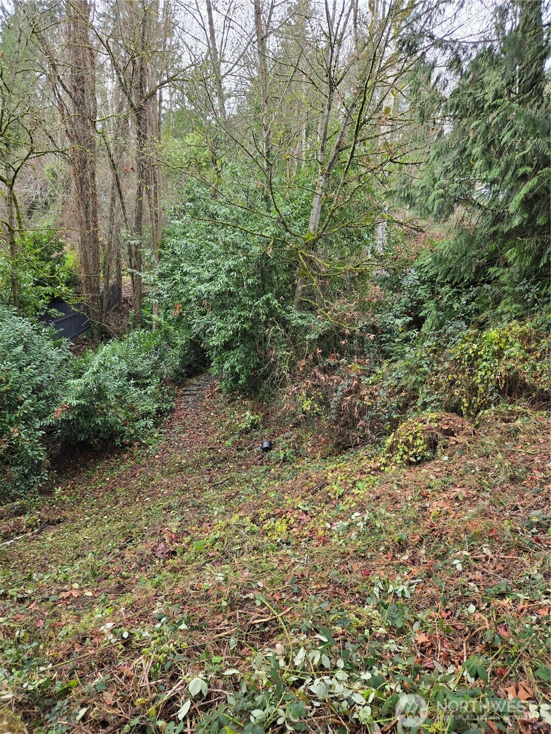 14014 41st Avenue Property Photo 9