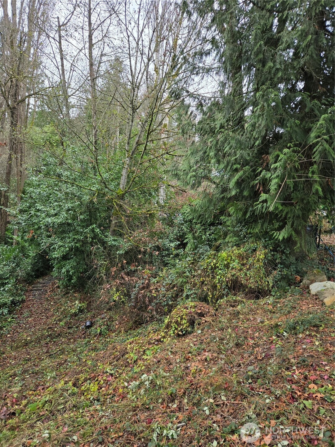 14014 41st Avenue Property Photo 12