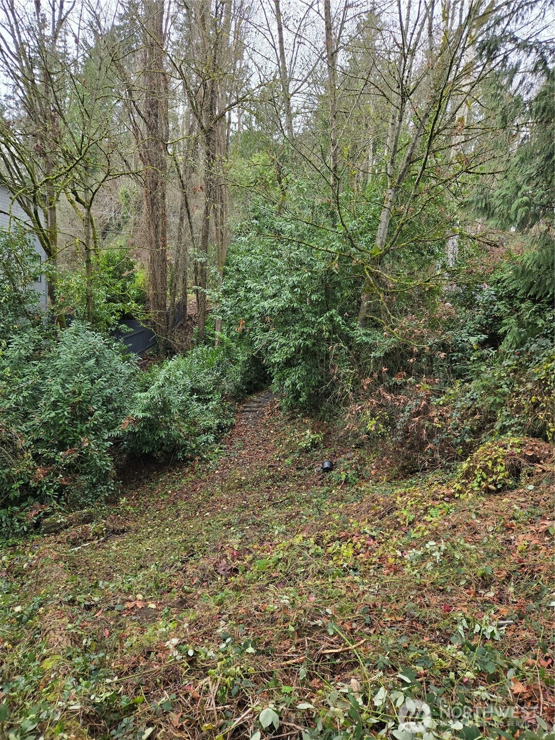 14014 41st Avenue Property Photo 13