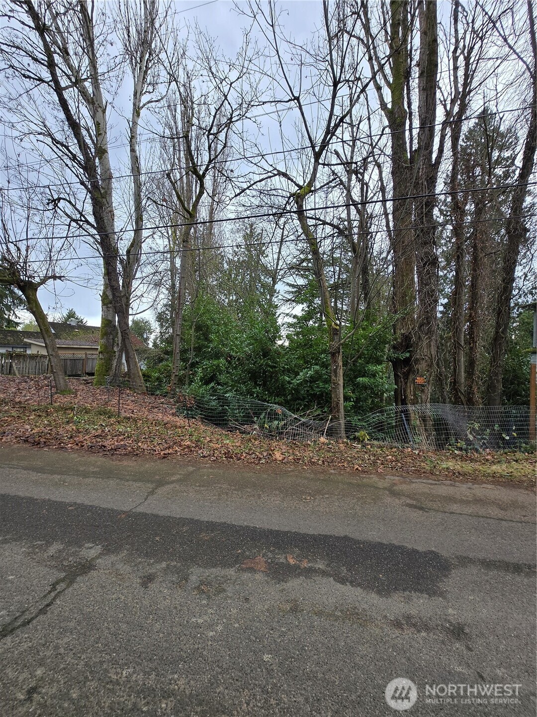 14014 41st Avenue Property Photo 15