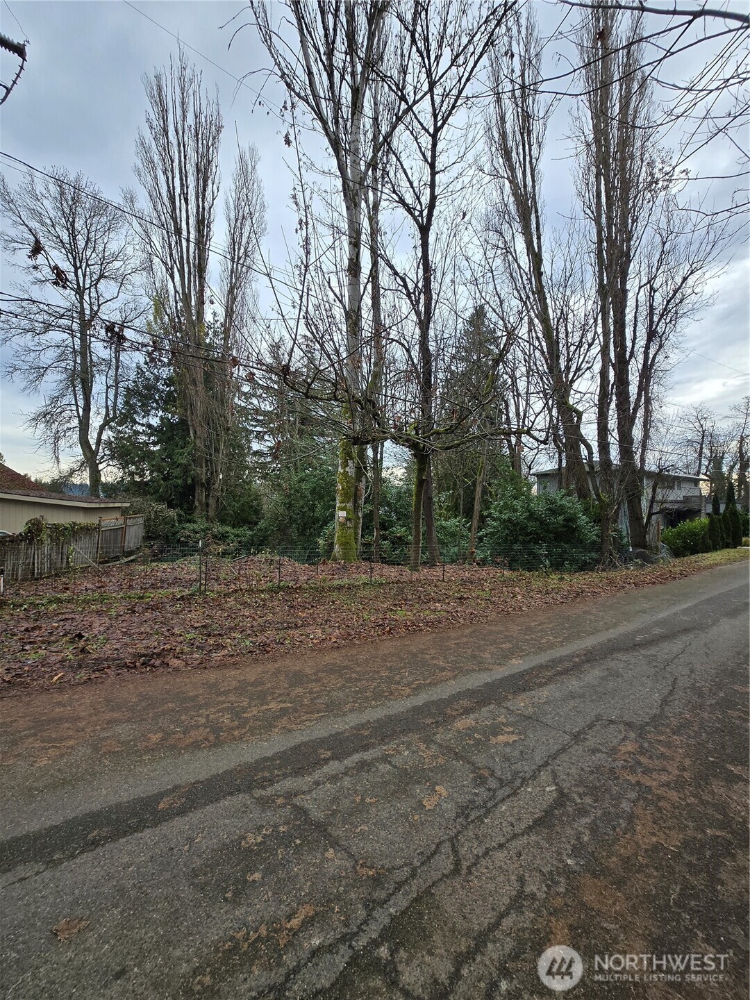 14014 41st Avenue Property Photo 16