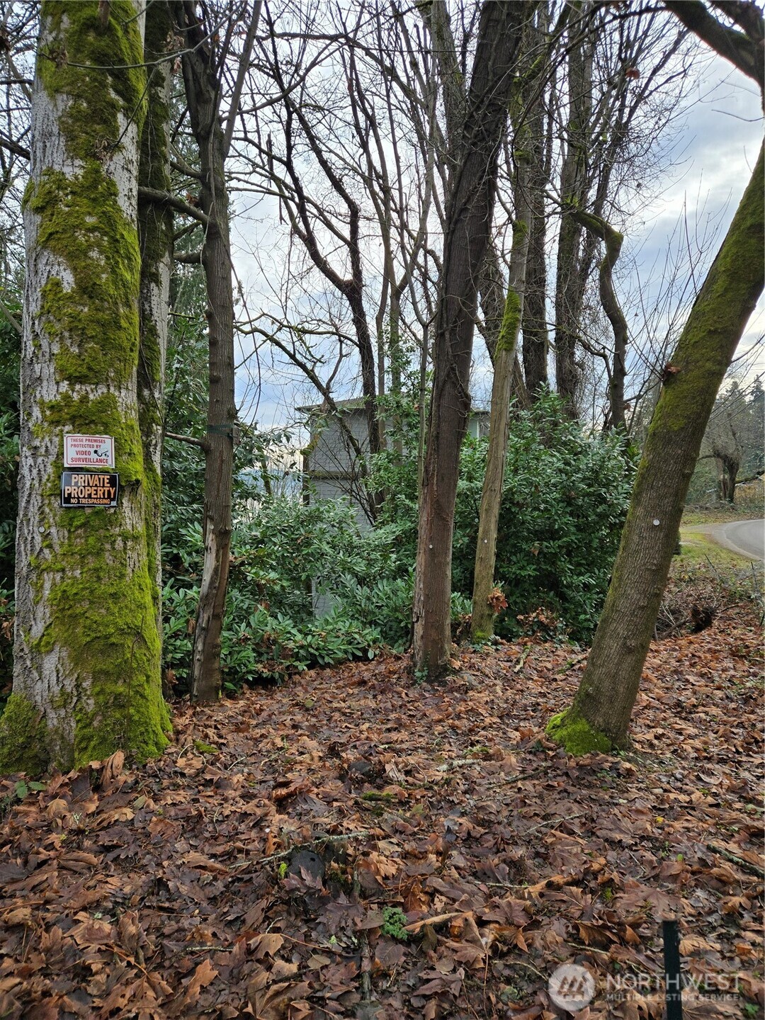 14014 41st Avenue Property Photo 17