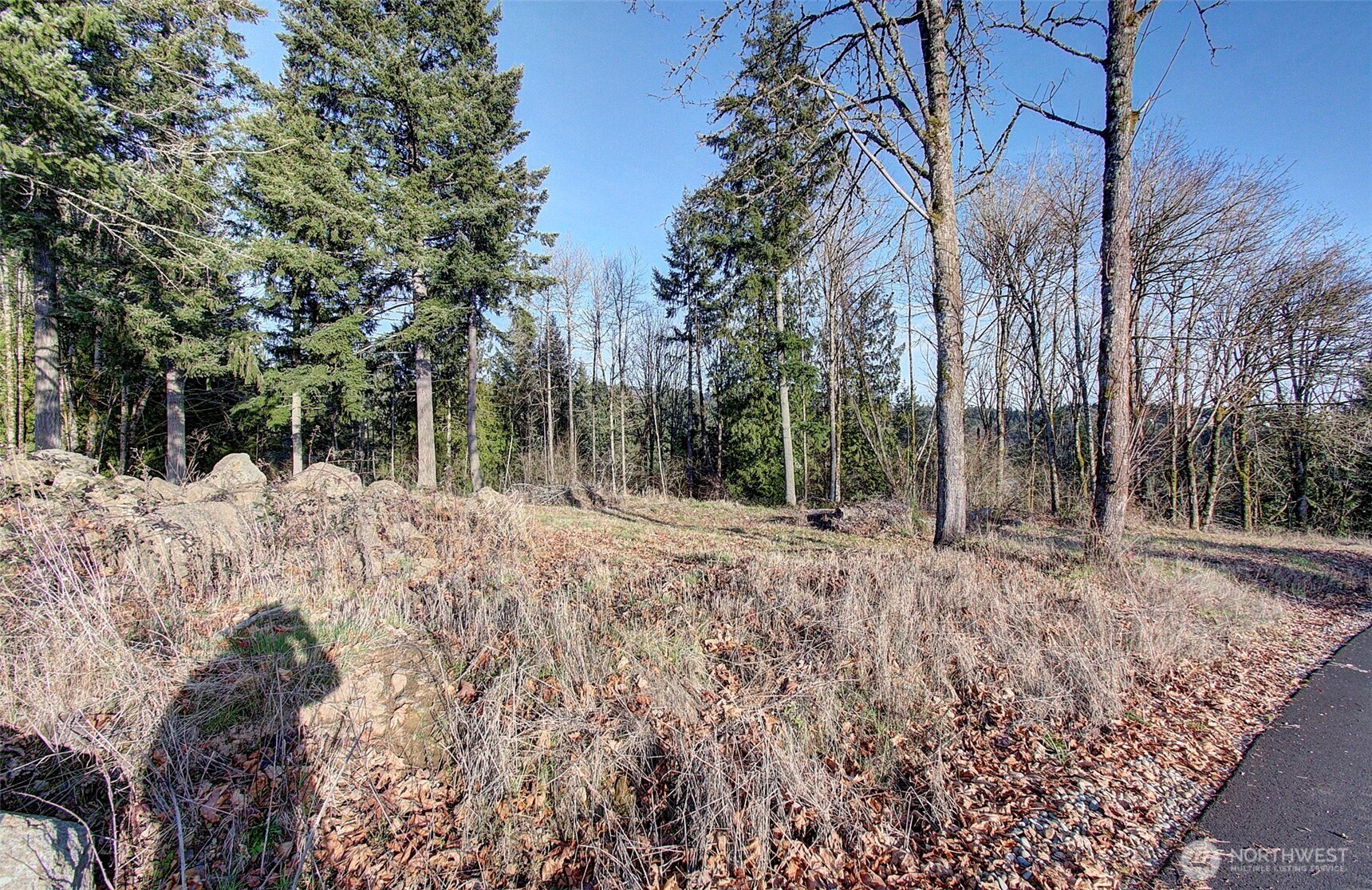 0 Olivia Lane Lot X Property Photo 6