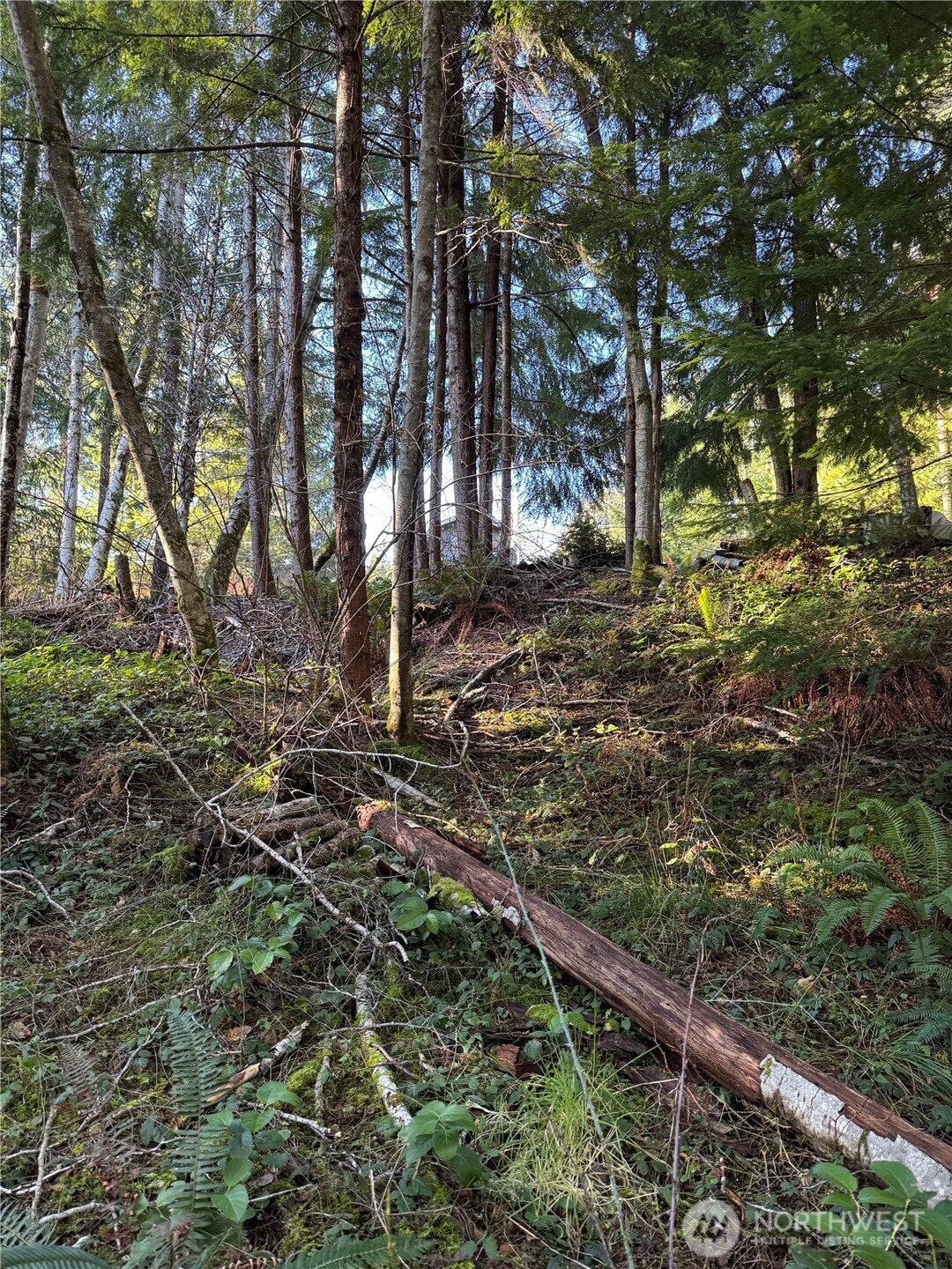 0 Ne Lake Christine Road Property Photo 3