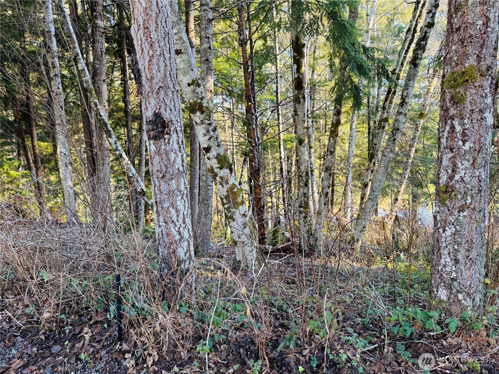0 Ne Lake Christine Road Property Photo 4
