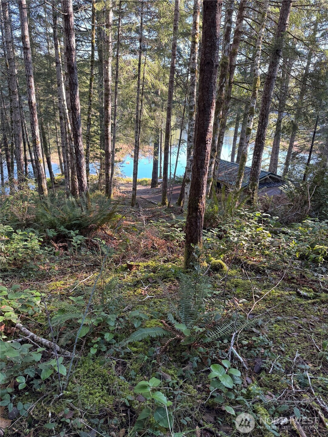 0 Ne Lake Christine Road Property Photo 5