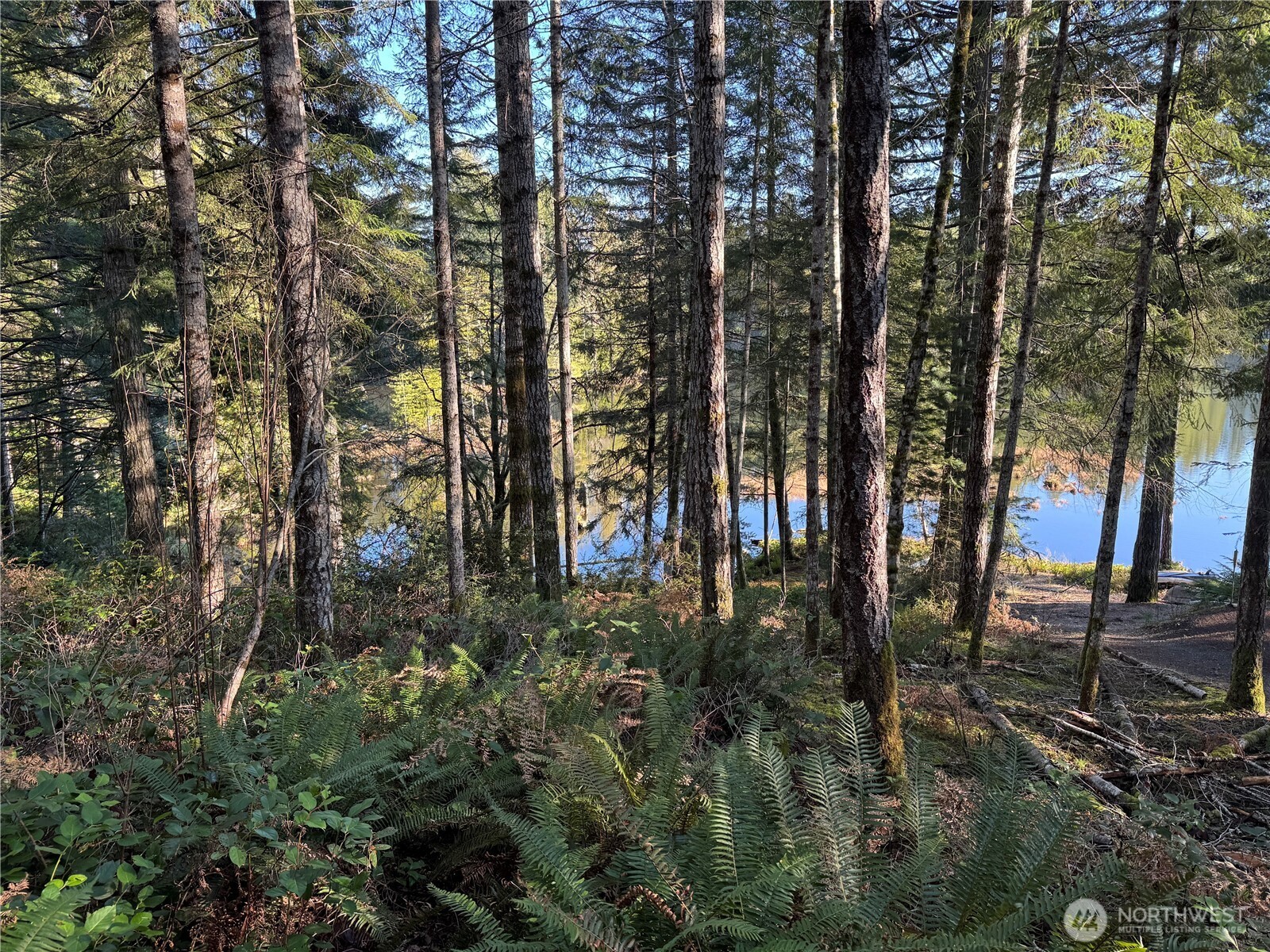 0 Ne Lake Christine Road Property Photo 6
