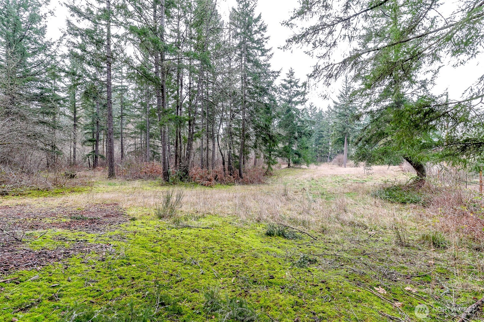 25414 48th Avenue Property Photo 3
