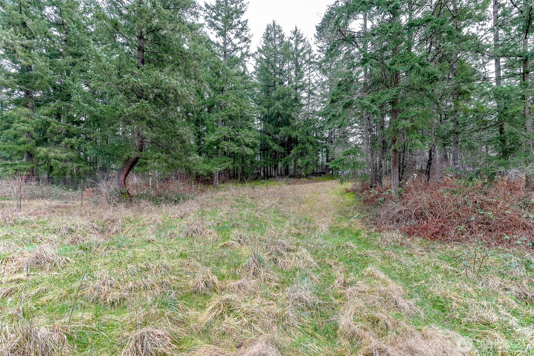 25414 48th Avenue Property Photo 4