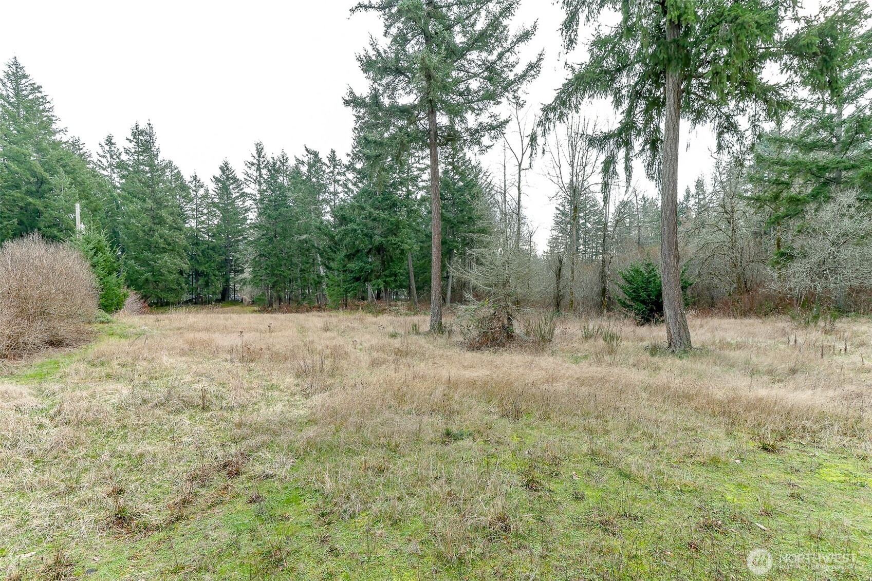25414 48th Avenue Property Photo 6