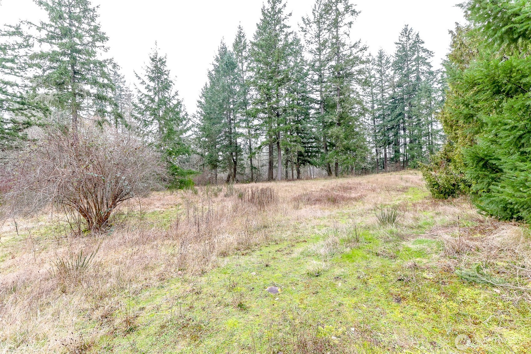 25414 48th Avenue Property Photo 7