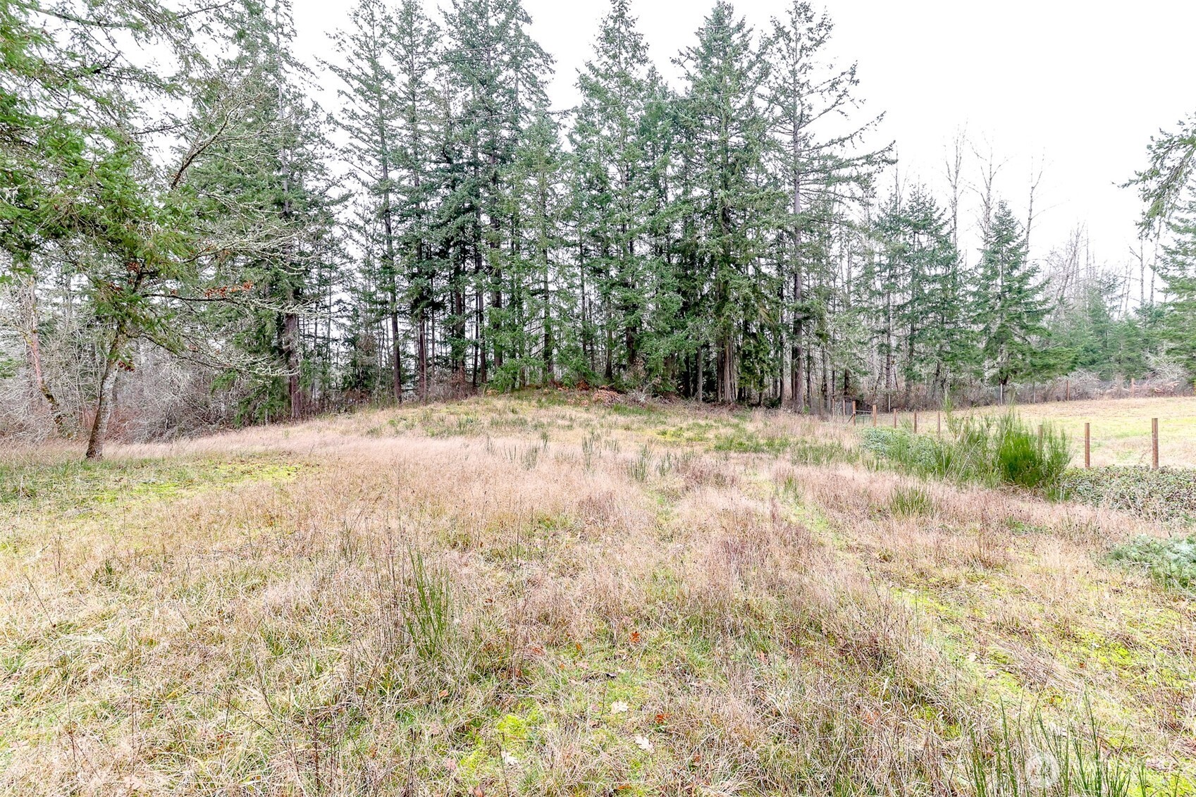 25414 48th Avenue Property Photo 8