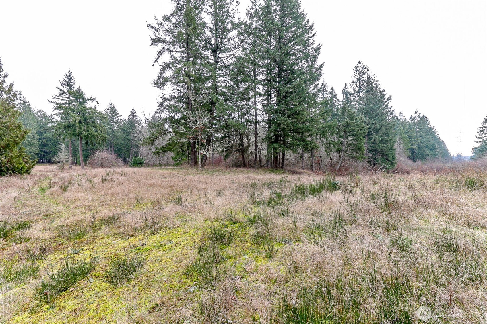 25414 48th Avenue Property Photo 9