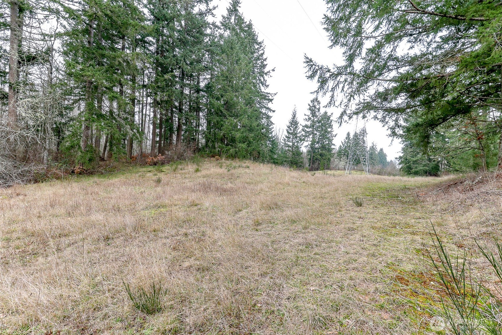 25414 48th Avenue Property Photo 12