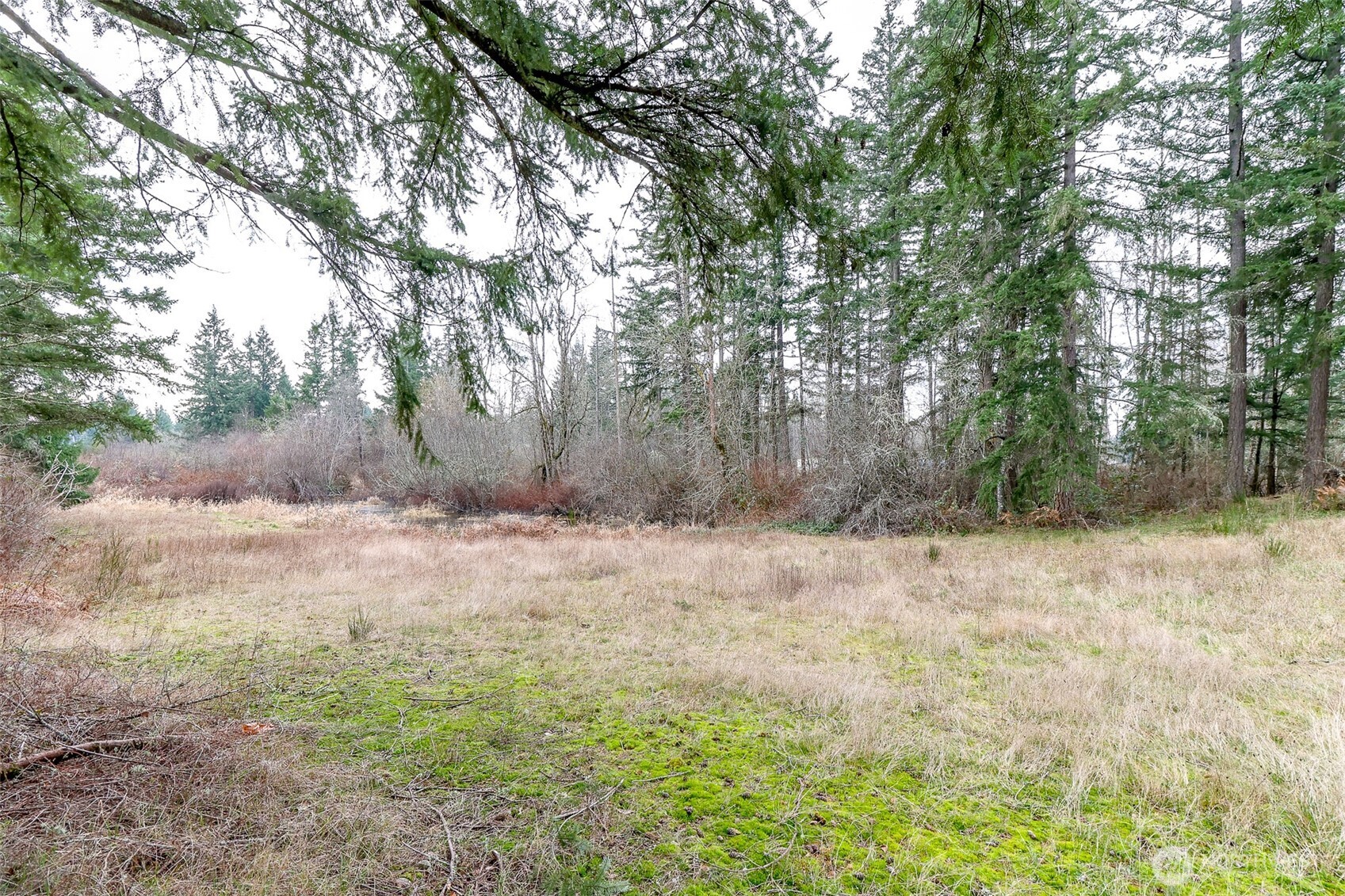 25414 48th Avenue Property Photo 13