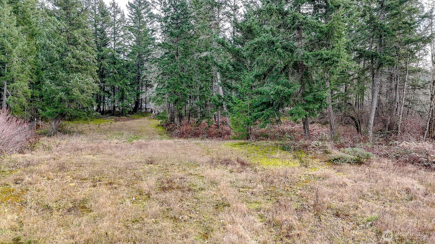 25414 48th Avenue Property Photo 18