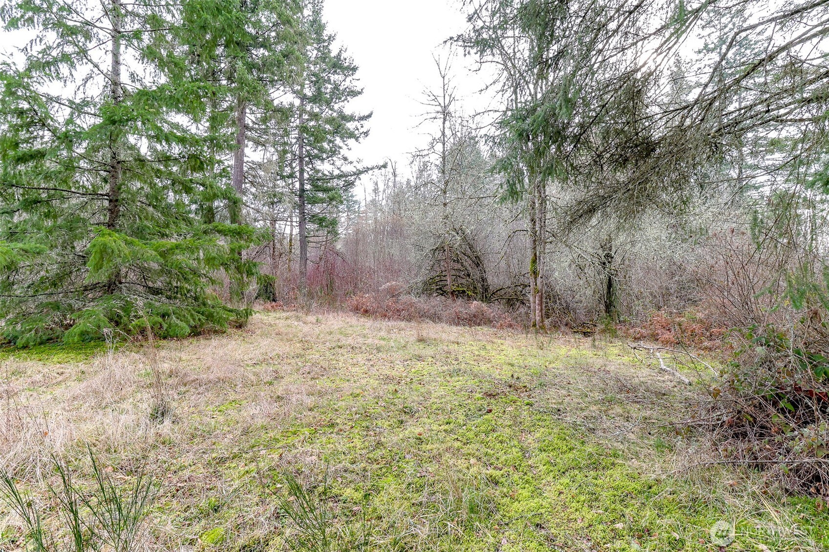 25414 48th Avenue Property Photo 14