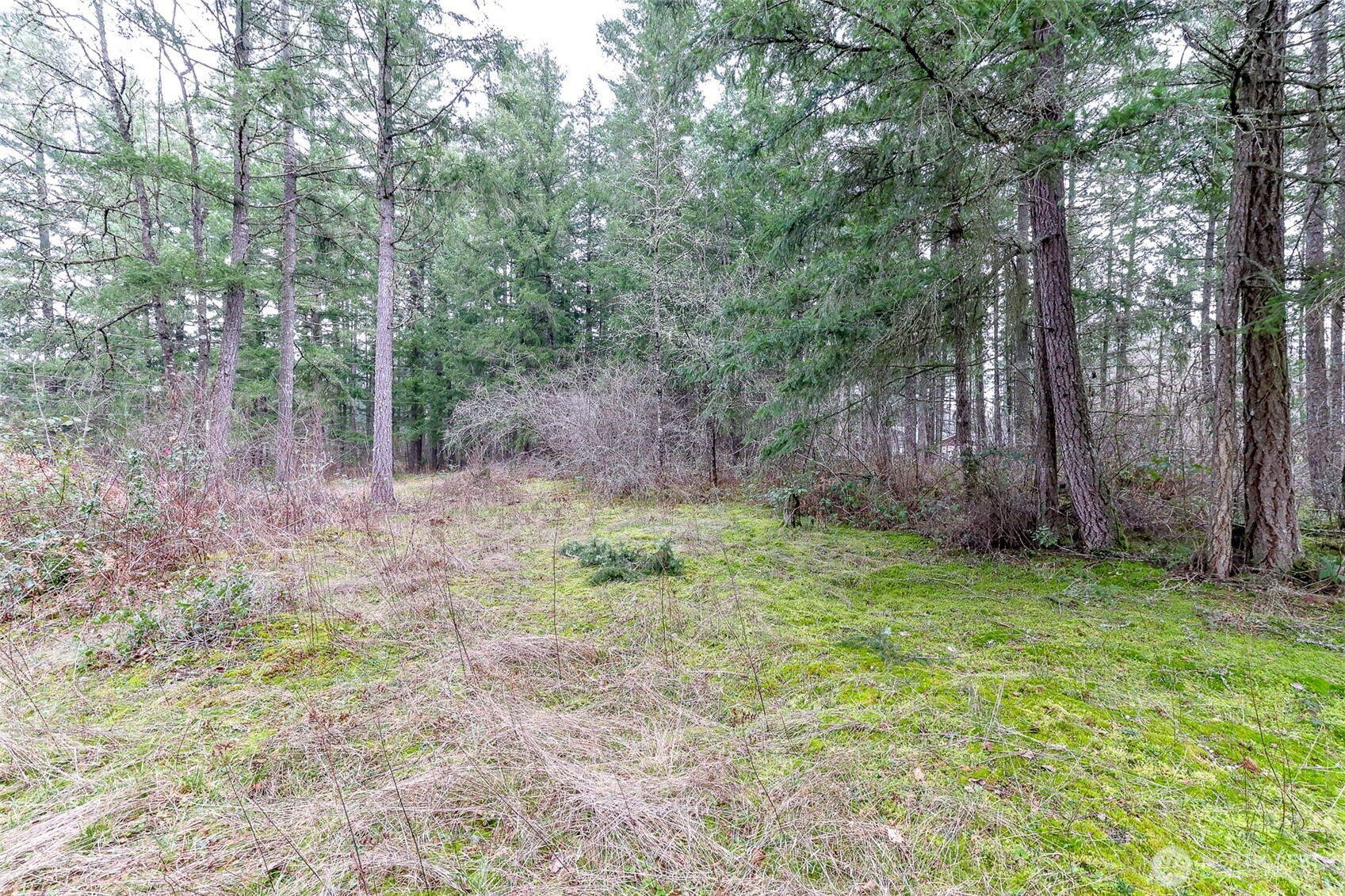 25414 48th Avenue Property Photo 15