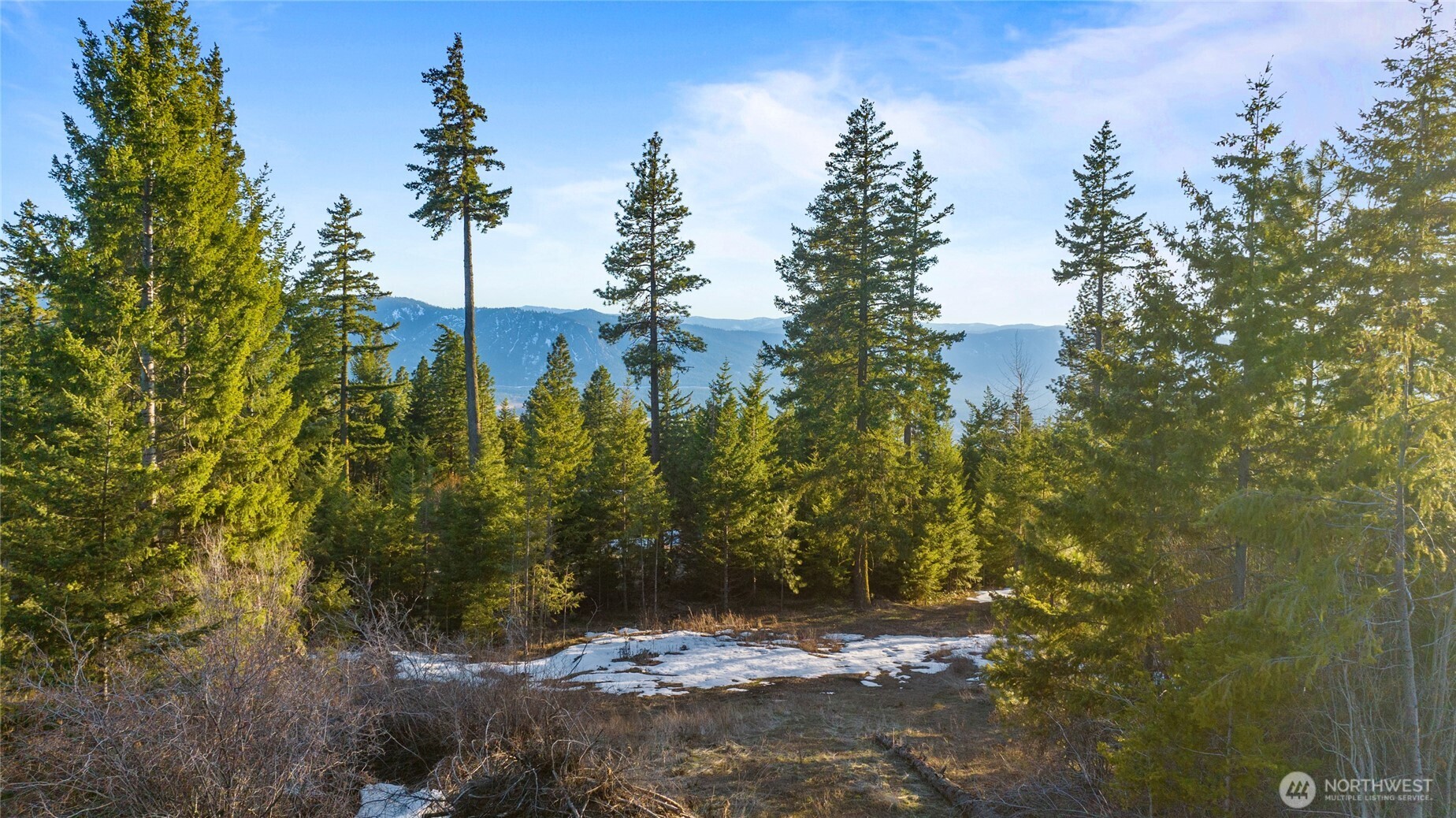 47 Forest Ridge Dr (lot #47) Property Photo 4