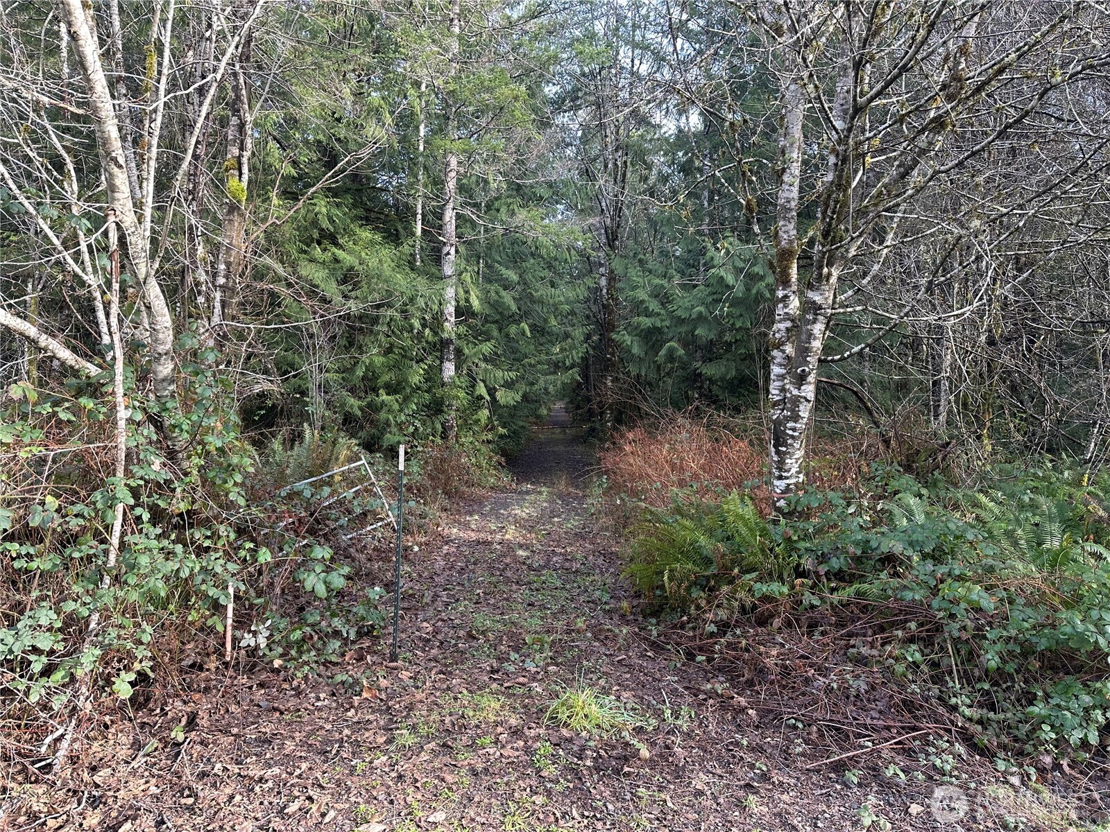 0 Willchar Boulevard Property Photo 2