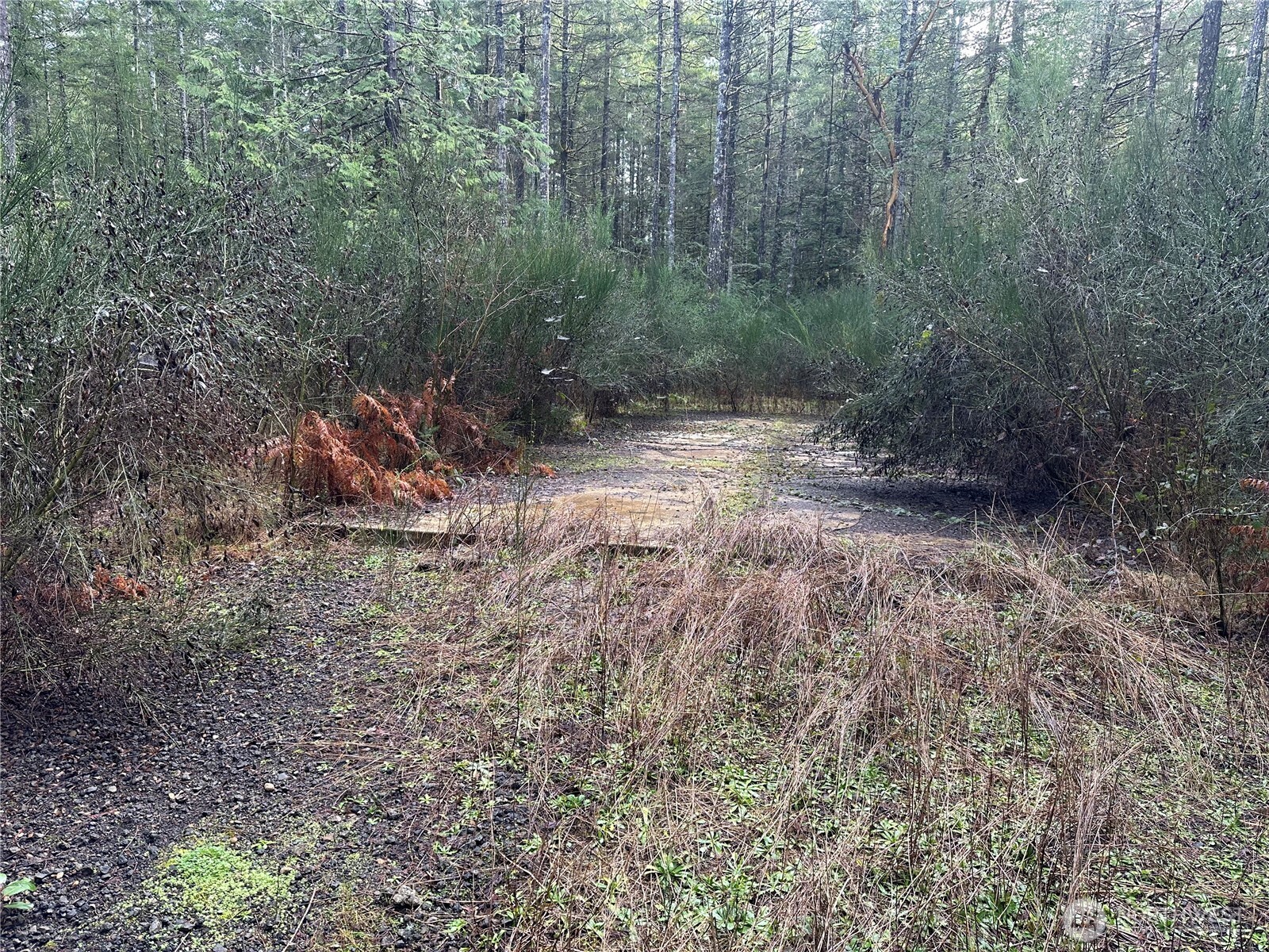 0 Willchar Boulevard Property Photo 3