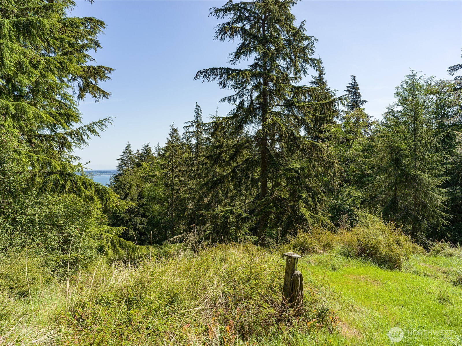 0 Sunrise Bluff Lane Property Photo 6