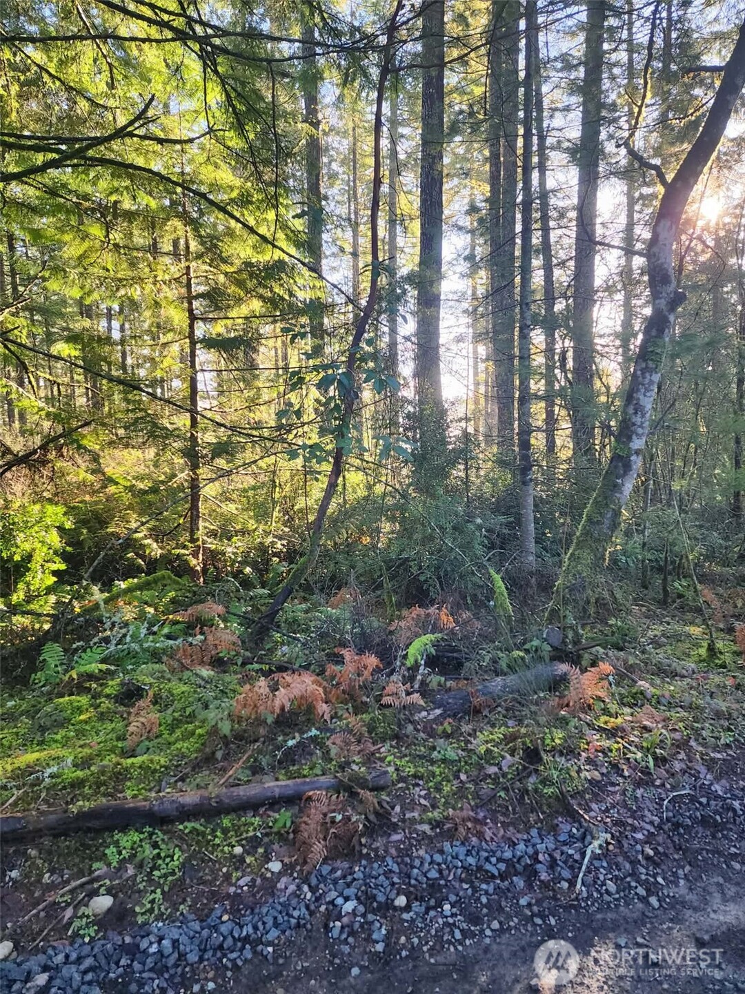 91 E Tepee Lane Property Photo 3